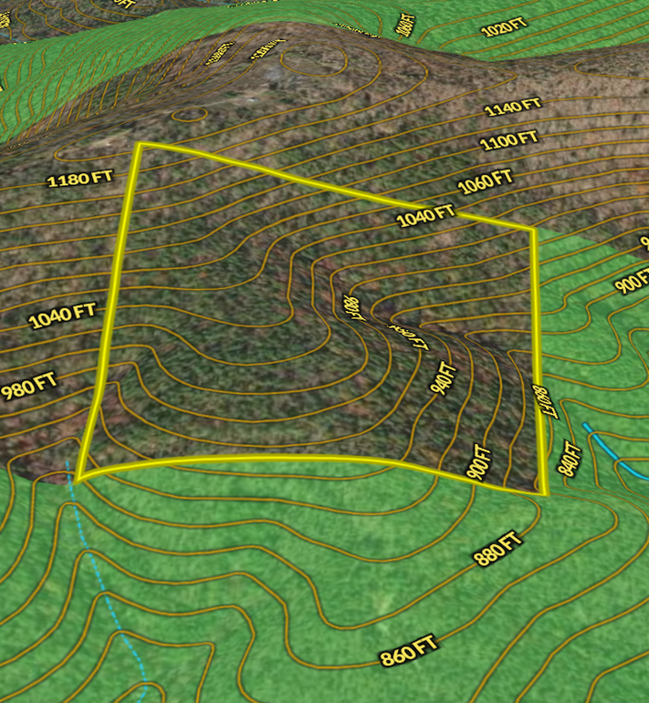 Screen Shot 2024-02-21 at 11.01.30 AM