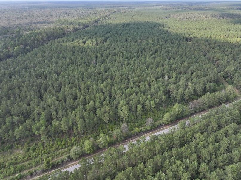 dji_fly_20250915_161554_0490_1758029006369_photo