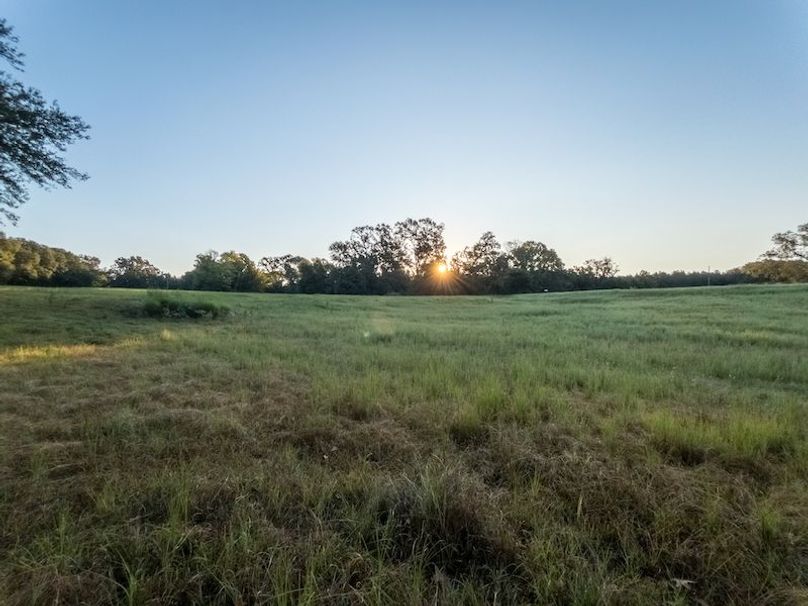 Hinds Co - 78 - Newman-07