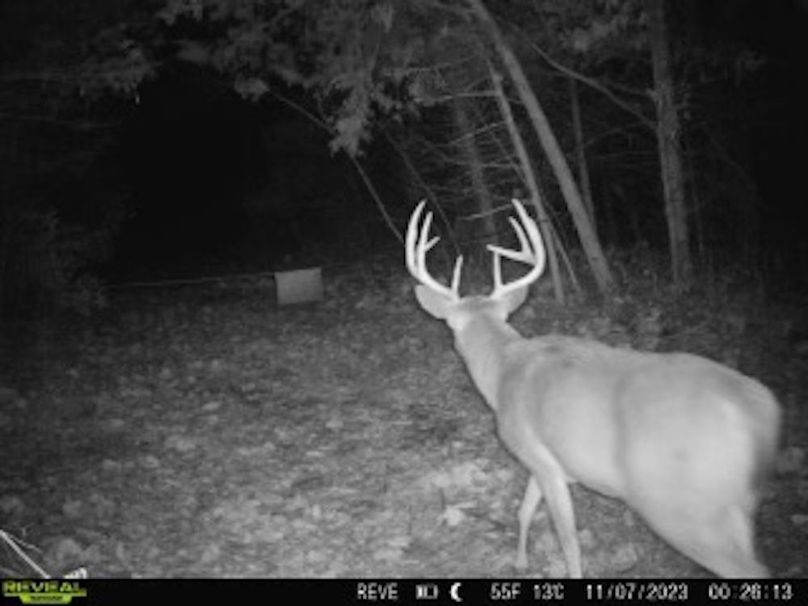 08E46542-5AD9-4D6F-8540-6A4B2B14FEB8_4_5005_c