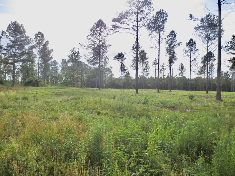 EB89BA3F-49F5-4701-9898-ABE6FFBE67A9_1_105_c