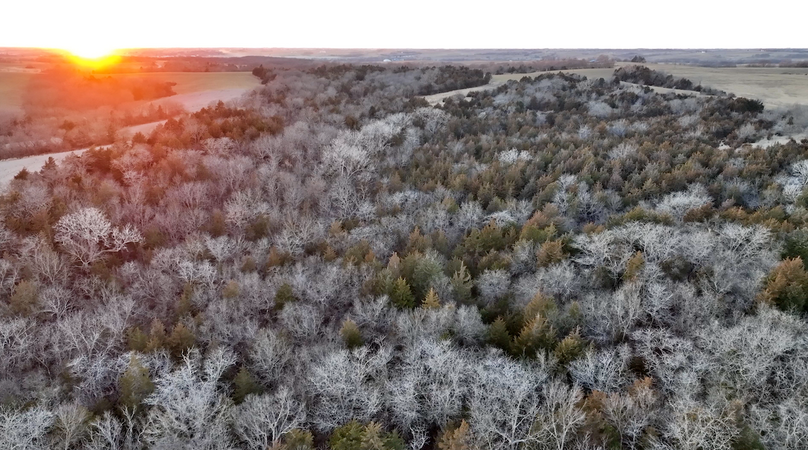 Screenshot 2026-01-06 at 8.20.00 PM