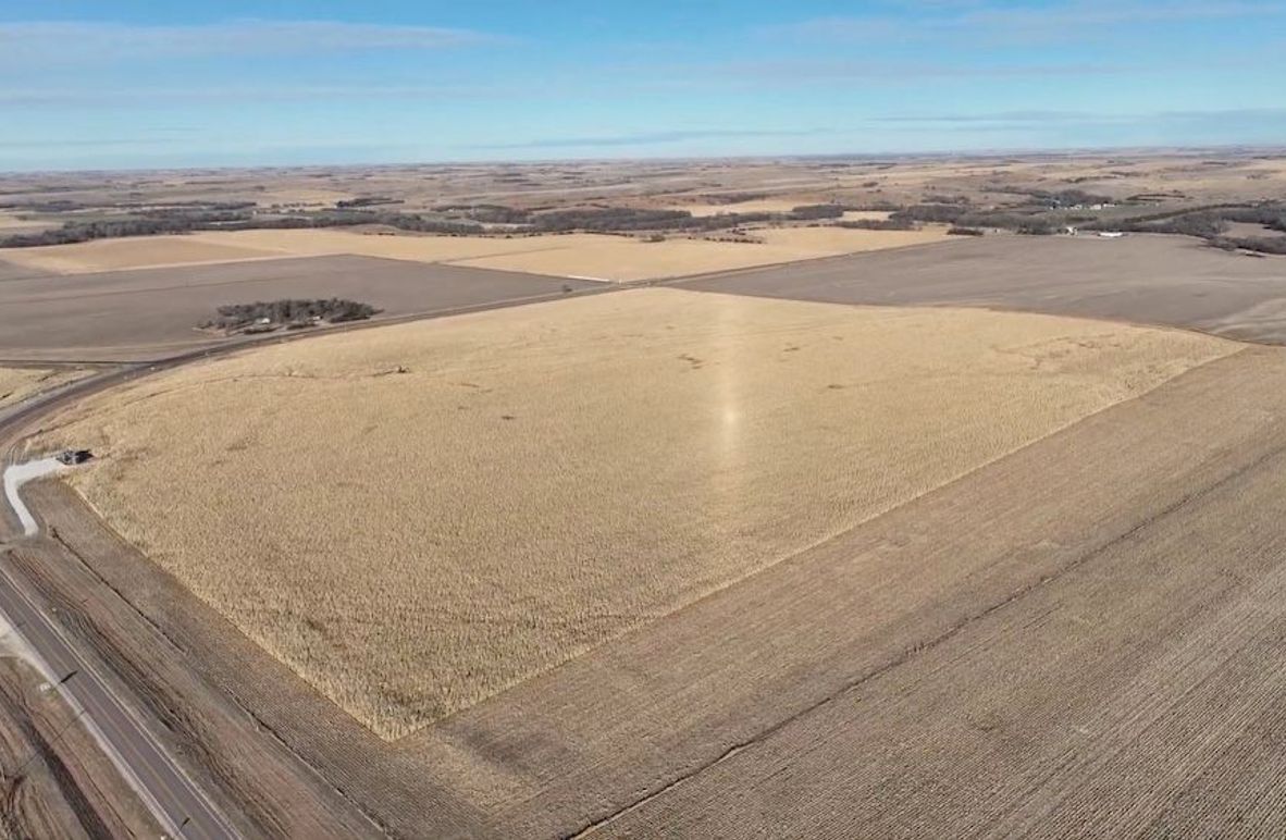 Screen Shot 2024-12-19 at 2.24.26 PM