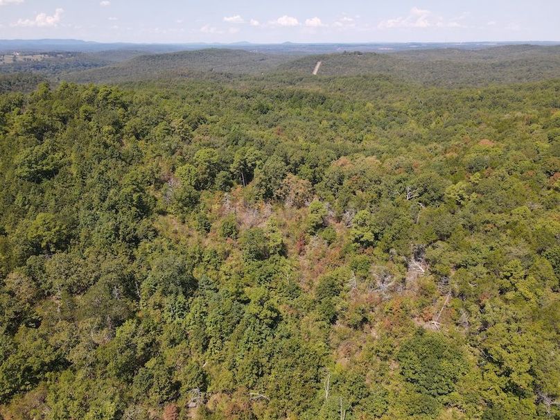 dji_fly_20250902_122246_764_1756833779880_photo