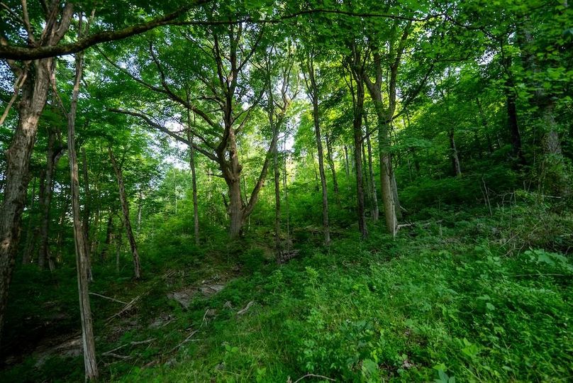 Cumberland TN 92 Featured_Pro Photo-107