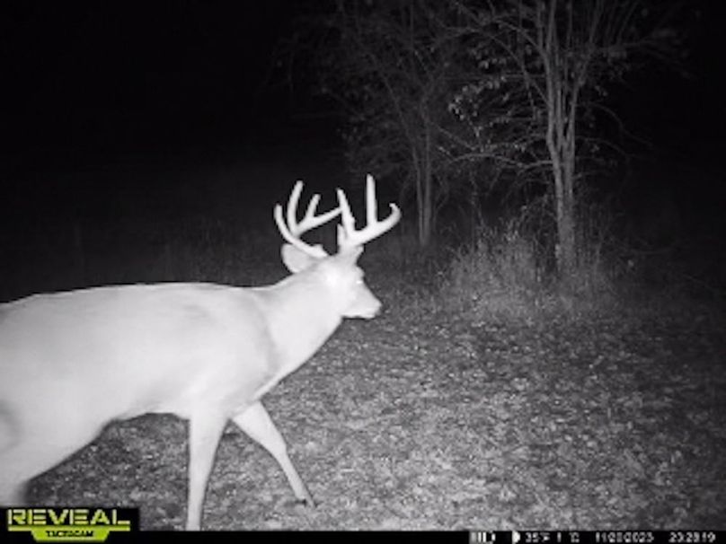 865509050418056-40-4-11202023232846-W1003392