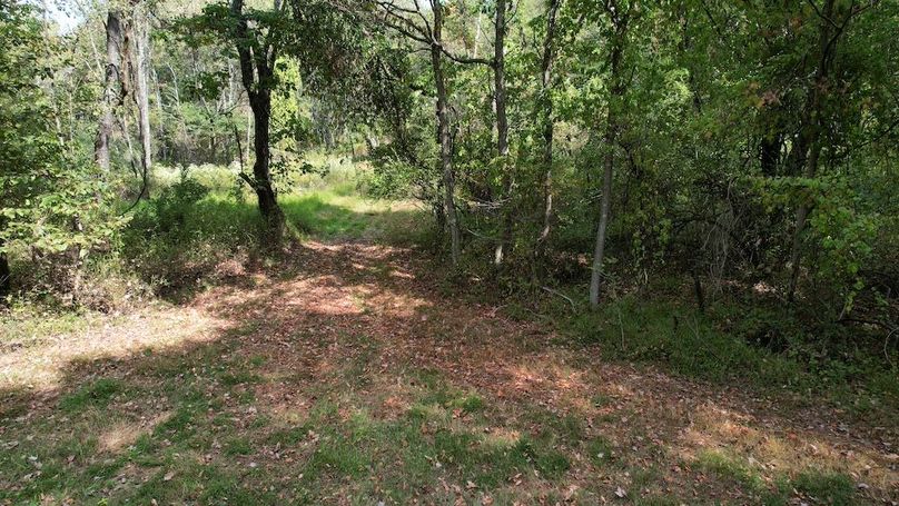 dji_fly_20250916_115940_766_1758038456069_photo