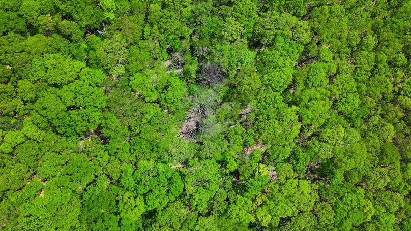 DJI_20250508022833_0121_D