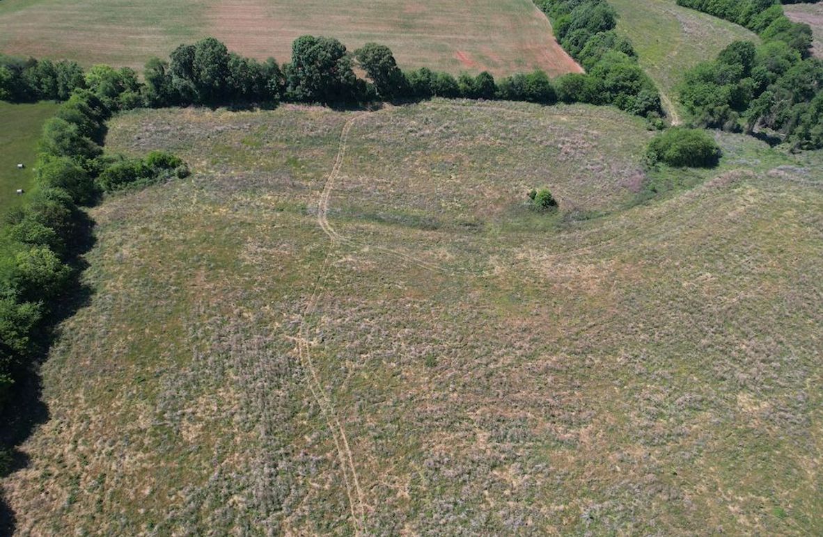 DJI_0052