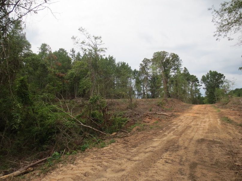 DEB1676A-02FF-4A71-AEA3-340C0576094D_1_105_c