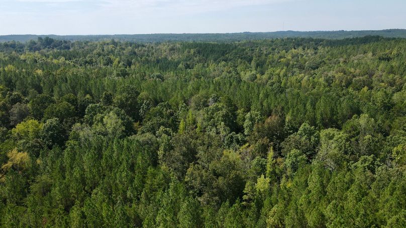 dji_fly_20230906_114354_371_1694015045335_photo