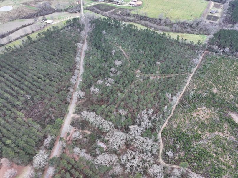 dji_fly_20260217_132352_0106_1771436918747_photo