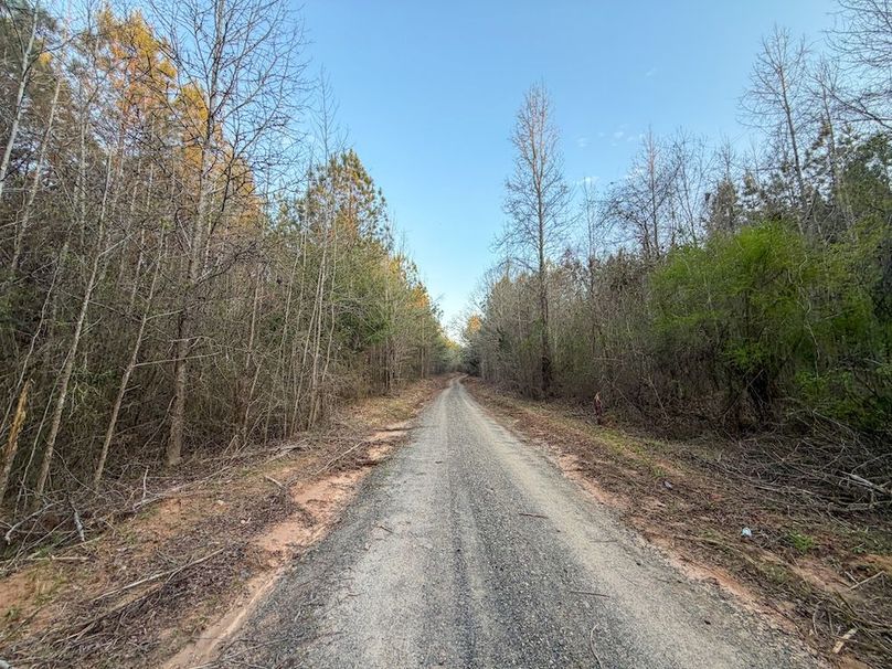 012DE 94 Acres - 1-11
