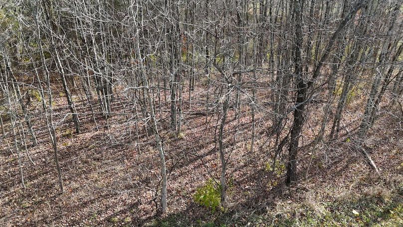 DJI_20251113133411_0691_D