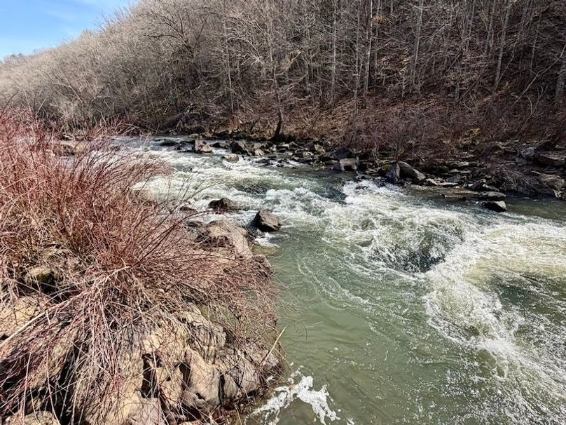 685682F8-A09A-4A74-A5DD-B6A85B987563_1_105_c