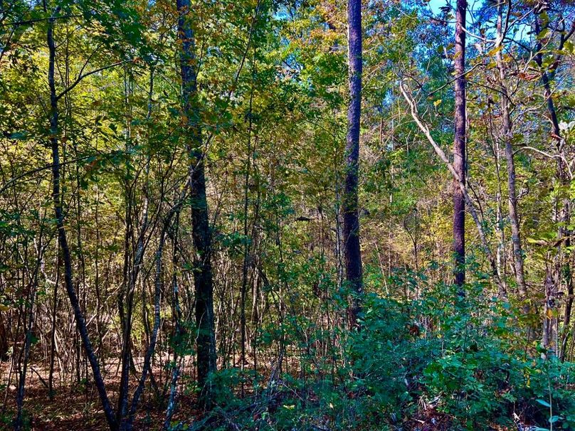 B9000B4B-6DB0-4095-BDC4-D006E11B7965_1_201_a