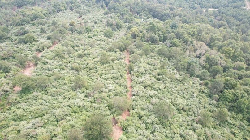 dji_fly_20250806_125958_559_1754499827012_photo