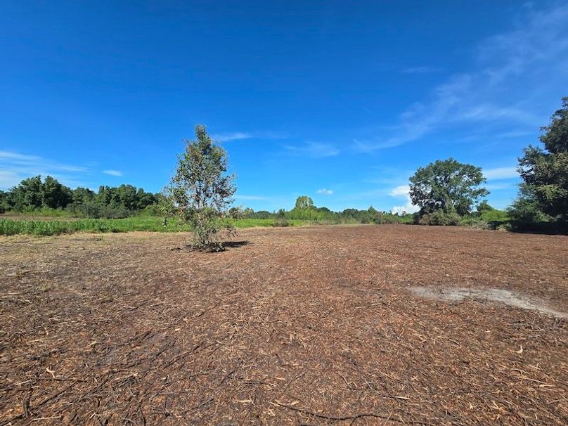 21ac, Sumter, Reelvest18