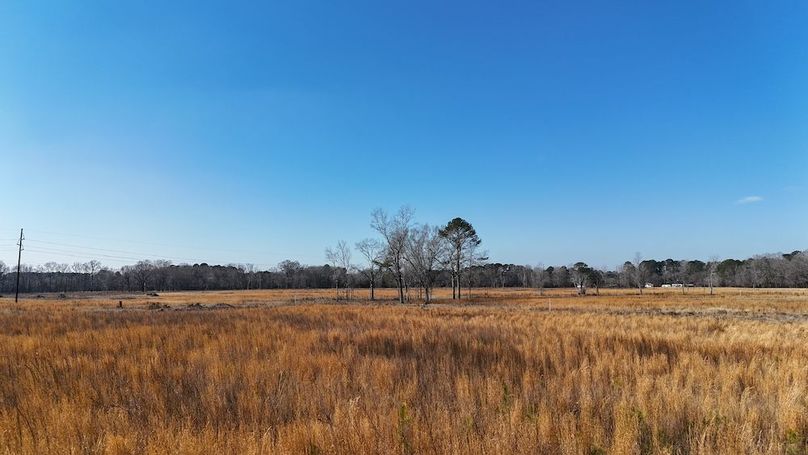 dji_fly_20260206_112924_0245_1770395782192_photo