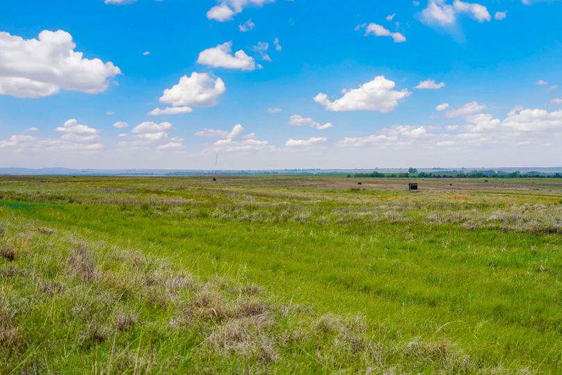 Comanche320_080 copy