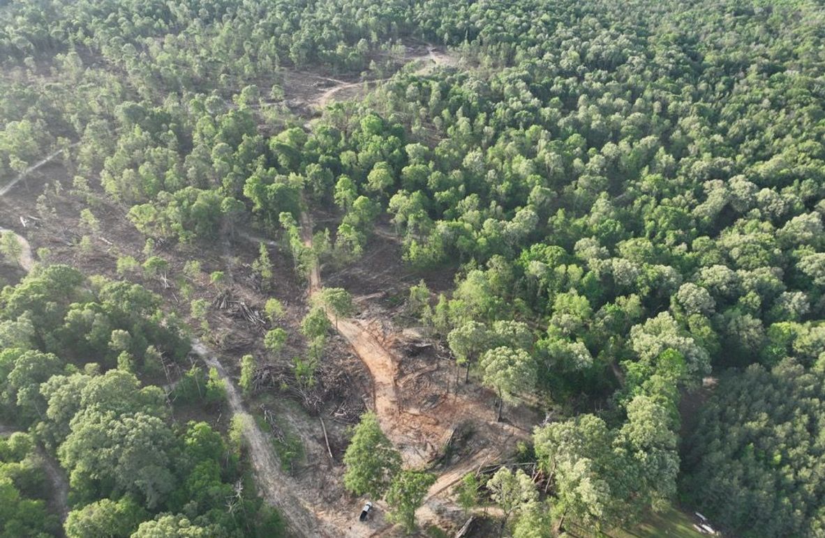 dji_fly_20260407_083028_339_1775580378942_photo