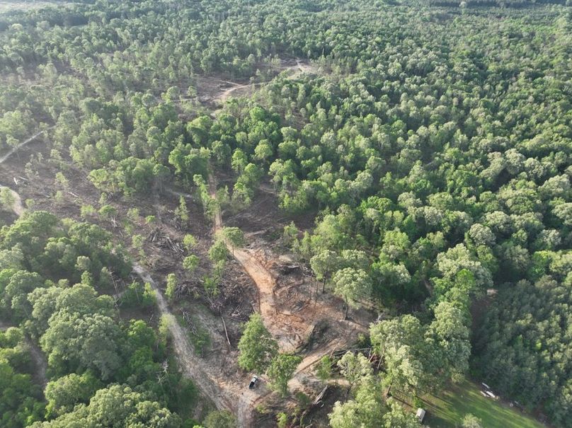 dji_fly_20260407_083028_339_1775580378942_photo