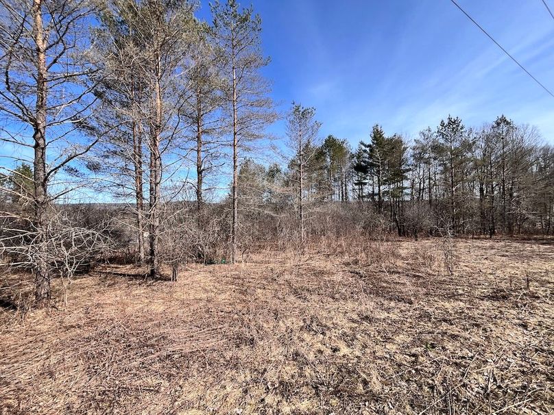 Lewis_26_Somberg Photo 19