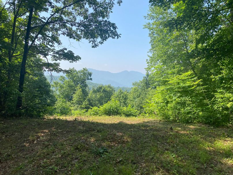 Macon 3.38 Bloodworth-01