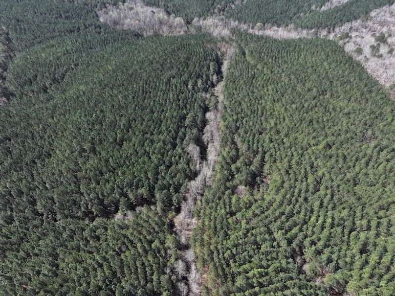 010AE - 257 Acres - Drone-6
