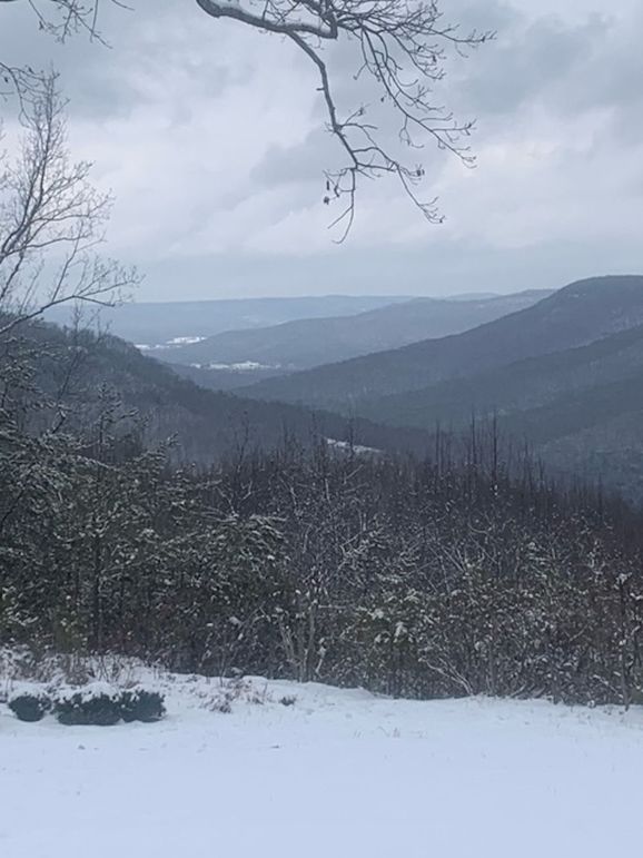 Snow 3