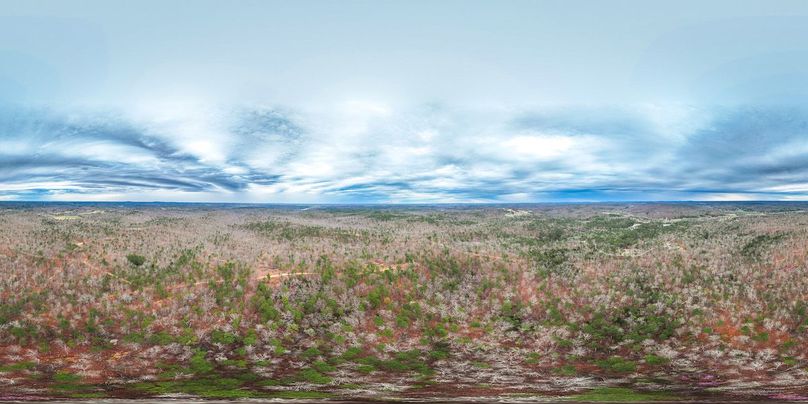 DJI_20250403135537_0617_D