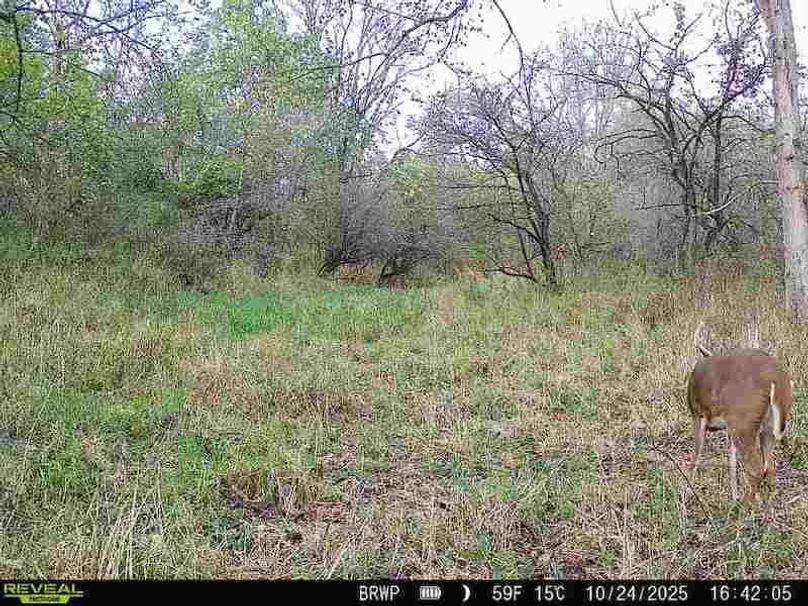 860322065236702-100-4-10242025164204-W1000081