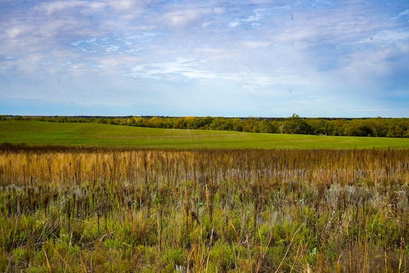 Dickinson Co, 154.5_067