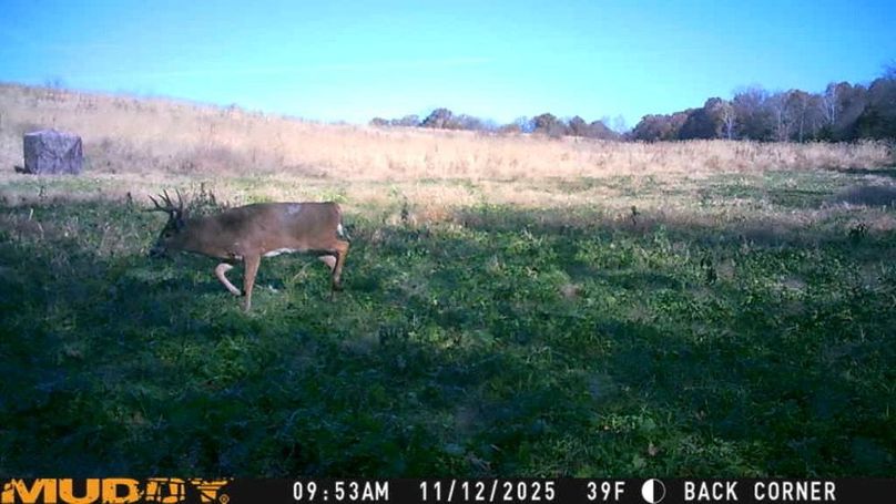 25111209531301005303_ColorizationType.none