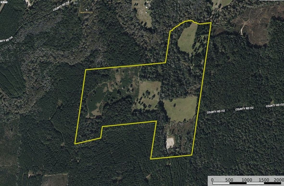 Screenshot 2025-07-03 131914