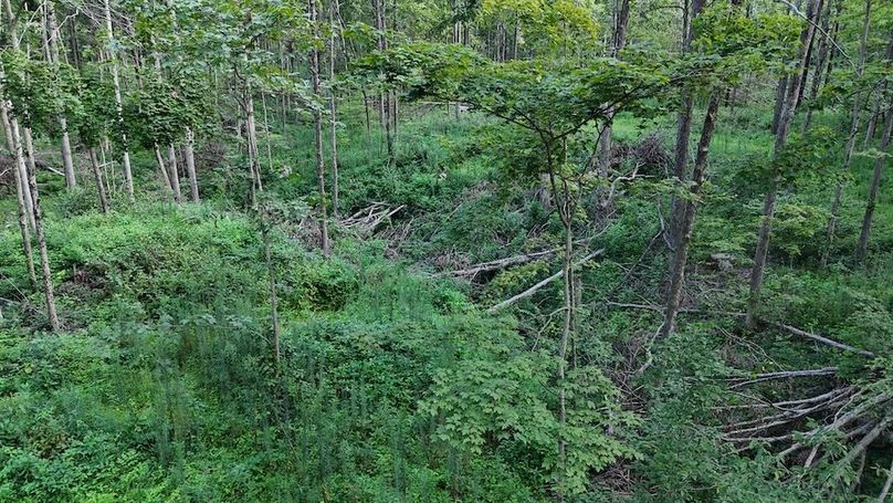 DJI_20250808180222_0774_D