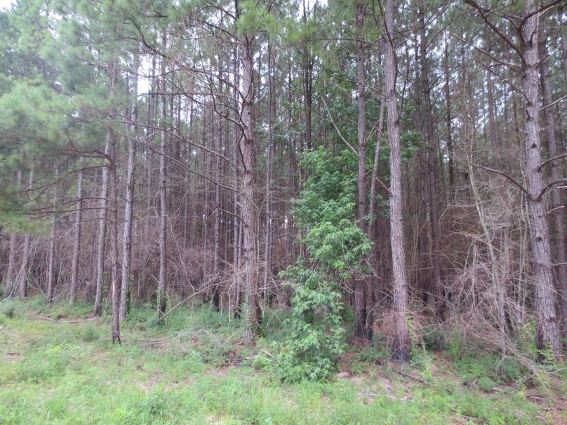 5F6B7CAA-36D0-43E0-A3F7-3225FC5298EB_1_105_c