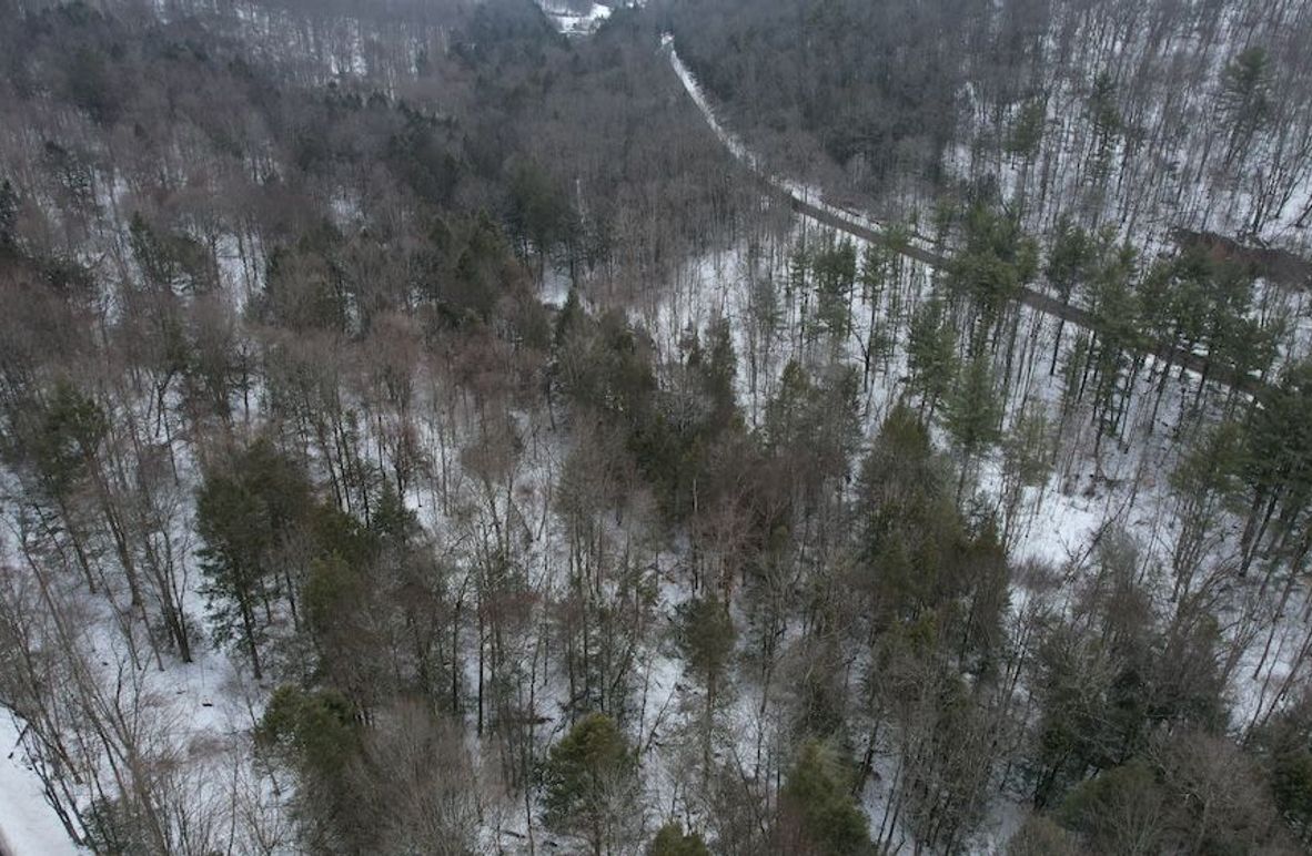 dji_fly_20260216_114224_129_1771260515107_photo