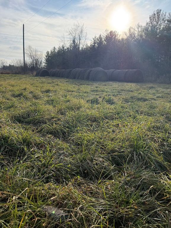 108C1681-EE89-4321-9857-86149296178E