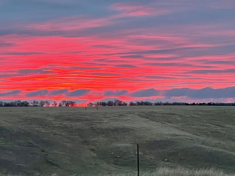 0CF6E9EE-46D8-46BB-81C8-E14A3ED979EF