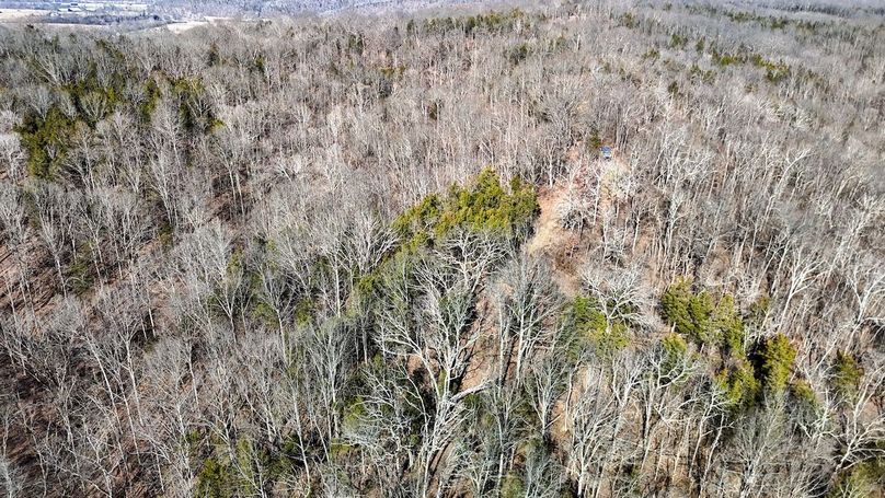 DJI_20260122124125_0029_D