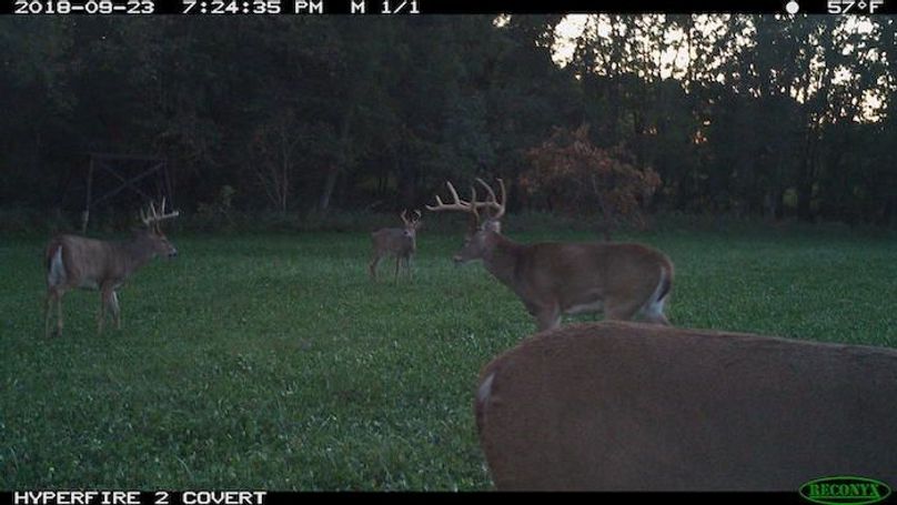 2018-09-23 19-24-35 M 1_1