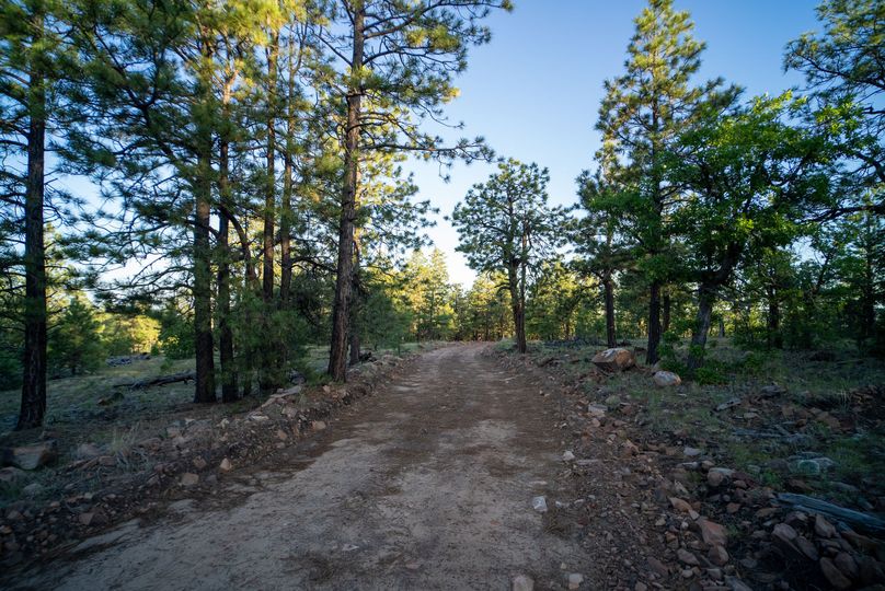 Cibola NM 13,053-05987