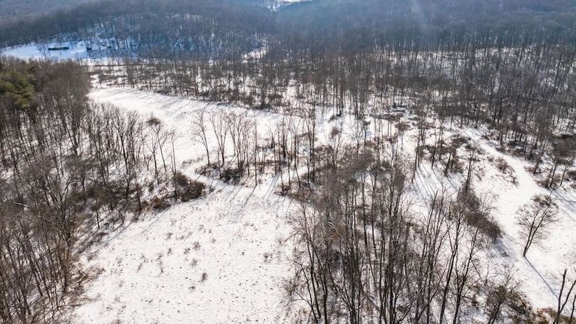 15-z 18408 Brushy010