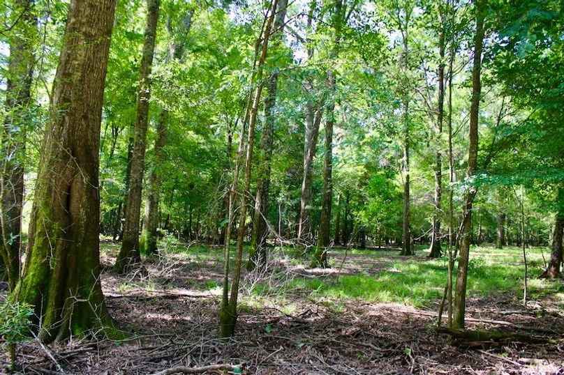 83DEBC78-7736-41CA-ACE9-179F6B85E65C_1_201_a