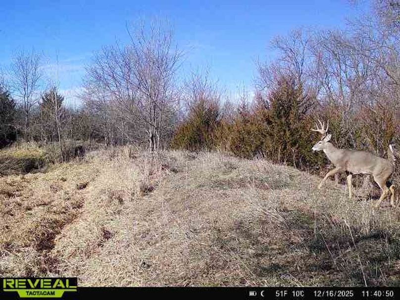 865814040443812-40-2-12162025114050-W1004178