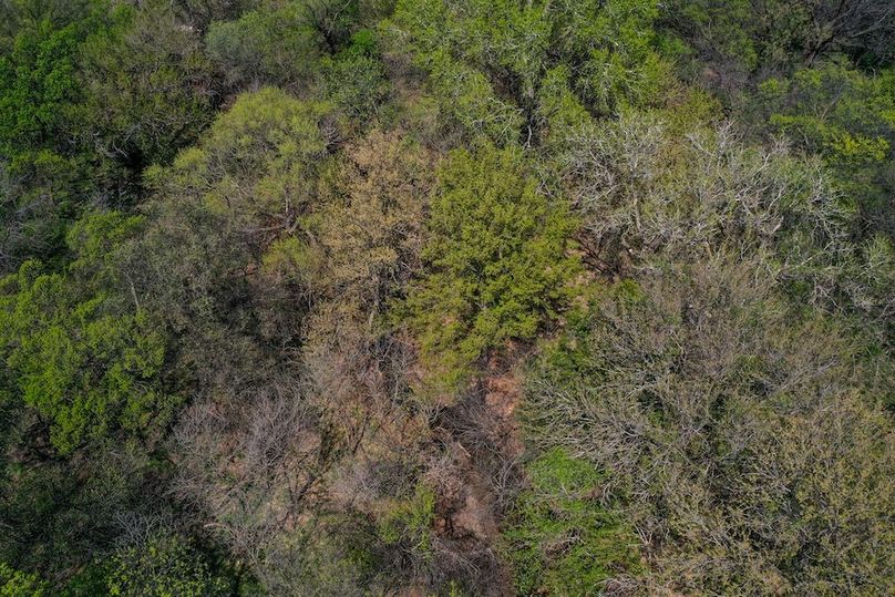 DJI_0789