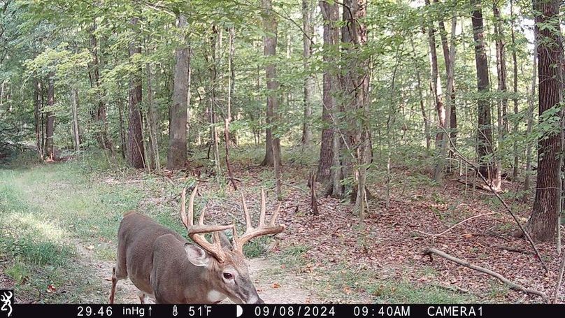 Trail Cam.19