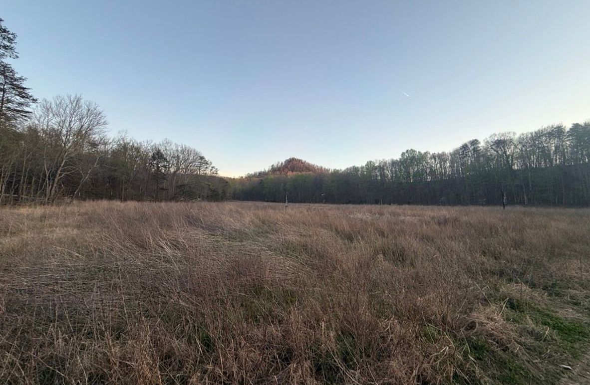 002 open field view looking at the high south knob