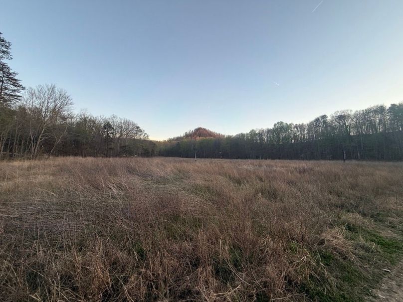 002 open field view looking at the high south knob